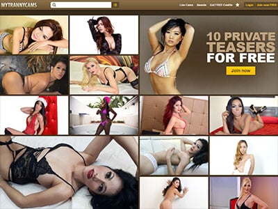 <h2>My Tranny Cams Deal</h2>
<p>My Tranny Cams continues to impress us with their great selection of top-notch transgender webcam models, lightning-fast live trans cams, and Asian ladyboys. Enjoy unlimited free video chat in full-screen HD or sign up for an account and <strong>join the spin the wheel bonus where you can win up to 100% extra credits!</strong></p>
