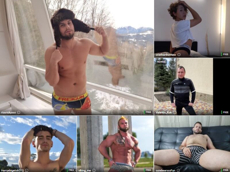Male adult cams at ImLive.com