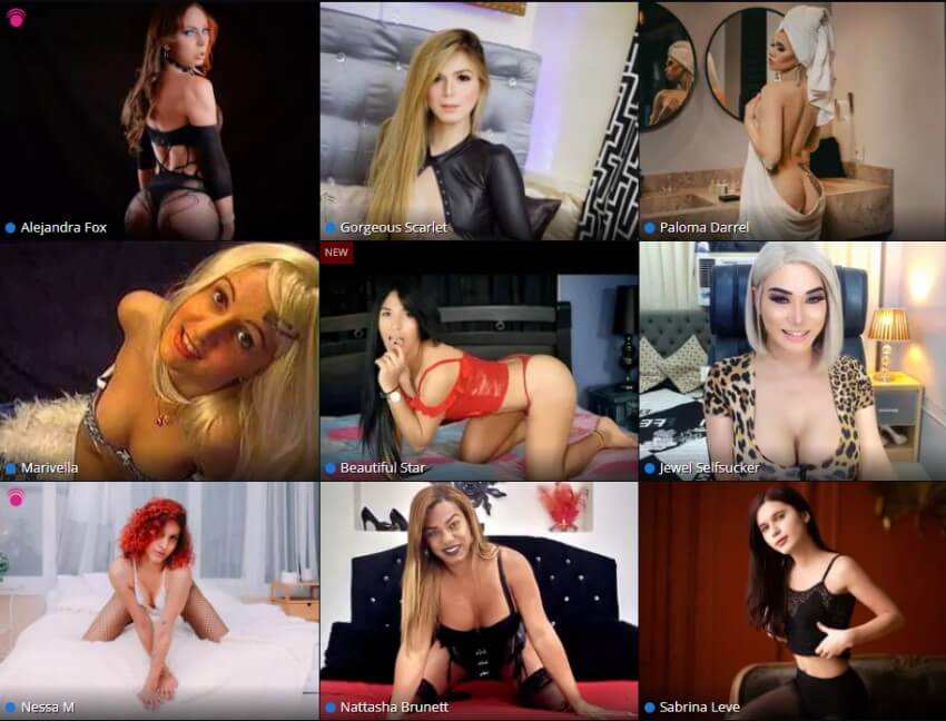 Premium trans cams at Flirt4Free