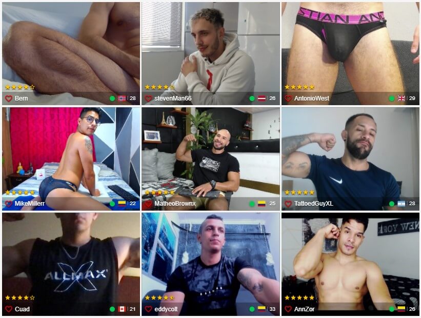 Male gay cam at Privatefeeds