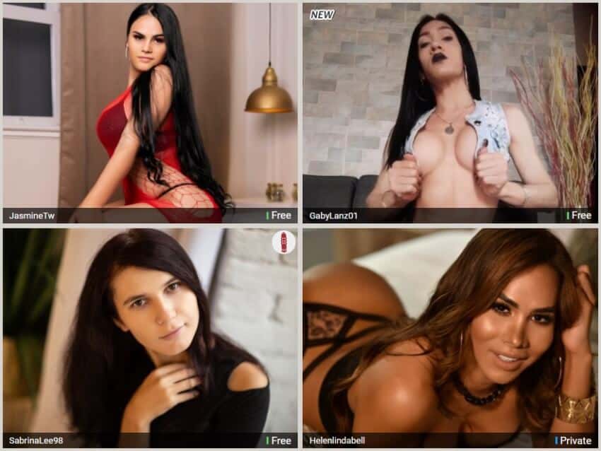 Tgirls cams former shemale.com models