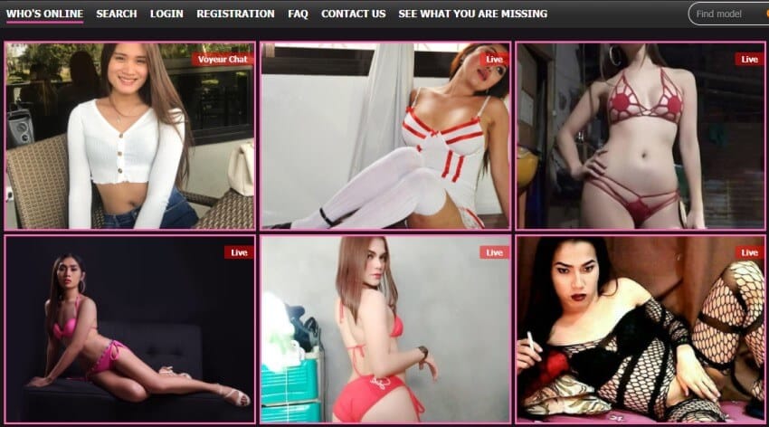 my tranny cam models online