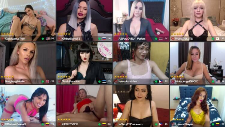 Trans Cam Models at TS Mate - TS Cam Reviews by Livecamreviews.net