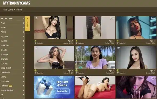 my tranny cams home page